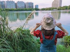 -南翔镇银翔湖公园