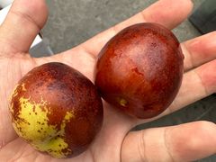 -绿茶餐厅(北京凤凰汇店)