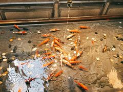 -四季民福烤鸭店(前门店)
