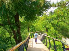 -白水寺森林公园