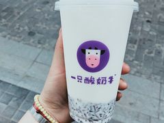 -一只酸奶牛(八一路店)