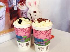 绿叶菩提-一杯潮茶·专注潮汕茶饮(十二中创始店)