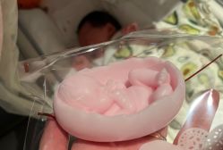 -baby bella小贝拉母婴护理中心(杭州凯宾斯基店)