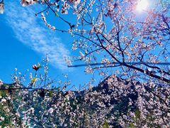-碓臼峪自然风景区