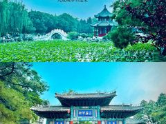 -莲池书院博物馆