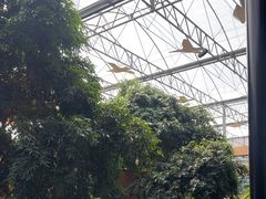 -北国之春国宴(乌兰察布店)