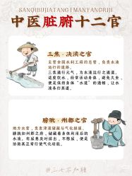 -玛莲朵·海菲秀冰珀科