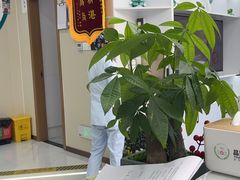 -品凯口腔(丰潭门诊)