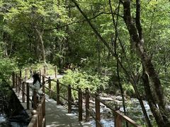 -叠溪松坪沟景区