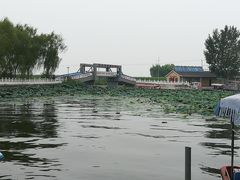 -白洋淀景区