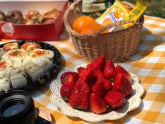 -昆山城市生态森林公园