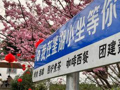 -重庆园博园