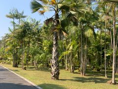 -中国科学院西双版纳热带植物园