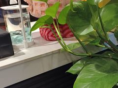 -鹿栖.精油SPA(金山世纪城店)