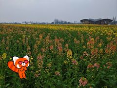 -中国天府农业博览园