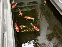 -鲤院·新中式美学·庭院餐厅(夫子庙店)
