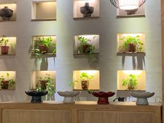 -安多素食(广仁寺路店)