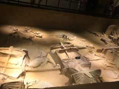 -洛阳周王城天子驾六博物馆