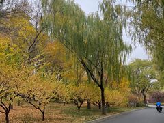 -南长河公园
