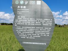 -盐城丹顶鹤湿地生态旅游区