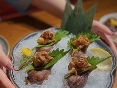 吮指鲜椒冰螺-必点海鲜·鲅鱼水饺(鞍山西道店)