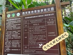 -西双版纳原始森林公园