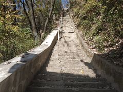 -陕西省红河谷森林公园