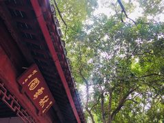 -秋霞圃