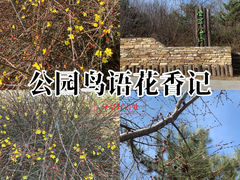 -云岗森林公园