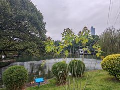 -晓港公园