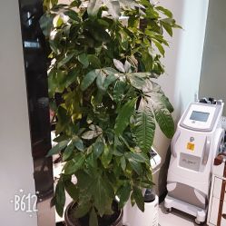-17.壹柒·美学高定空间