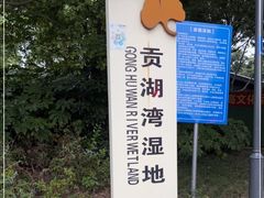 -贡湖湾湿地公园