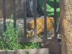 -里面·Noodlology(机电院店)