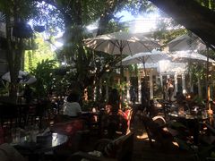 景观位-Fern Forest Cafe