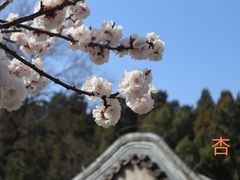 -颐和园