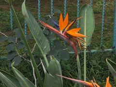 -国家植物园南园