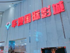 -武汉华夏国际影城(鲁广店)