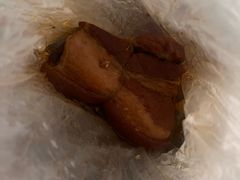 -咱家王新国把子肉(县东巷店)