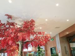 -韩京炭火烤肉自助料理(柯桥万达店)