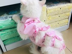 -美迦爱-牙专科·兔科·骨科诊疗中心(北苑店)
