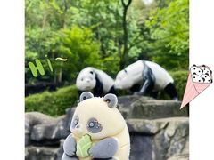 -都江堰景区