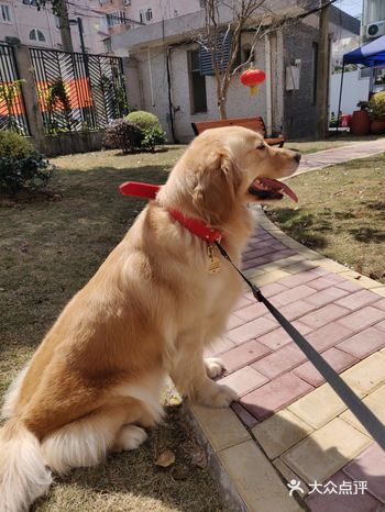 因为是大狗，洗澡价格都比较贵，但是这家的价格实在