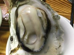 -大富蚝乌东哥饭店·石锅鱼杂·柠檬鸭(革新路店)