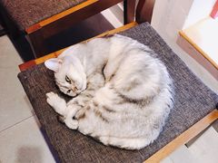 -大叔家福鼎小吃(十全街店)