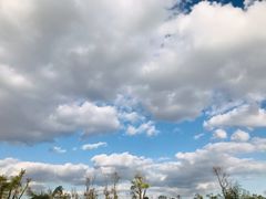 -漩门湾国家湿地公园