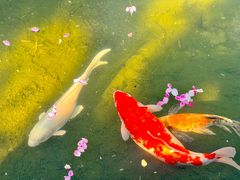 -三里河公园