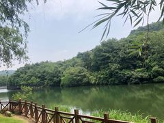 -白马涧龙池景区