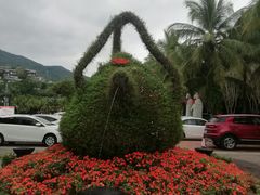 景点-呀诺达热带雨林