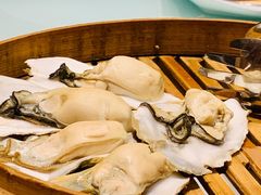 北海道生蚝原味蒸-新海渔港·胶东海鲜家常菜·家宴(奥体中心店)