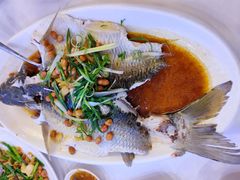 鸡汤浸山坑鲩-潮喜竹溪荔湖酒家(荔枝湾店)